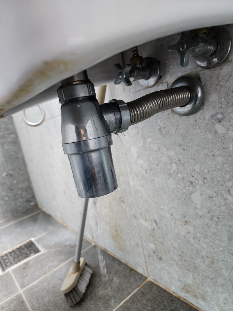 /user/y/yonginsulbi/editor/2502/0894006926c26a2160e02c97b1d87910_1739171528_4542.jpg 이미지크게보기